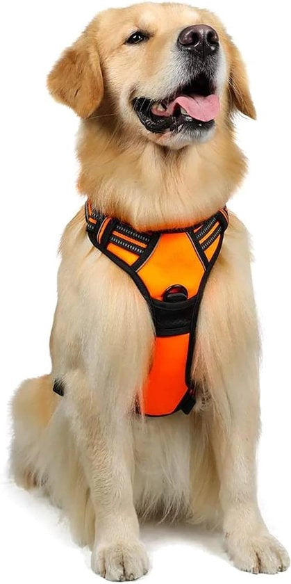 Harnas per cani, anche adatto per cuccioli, pettorale per cani regolabile, in plastica indeformabile, respirabile per cani di piccola, media e grande taglia, disponibile in nero, rosa e blu nelle misure S, M, L e XL, disponibile in colore arancione.