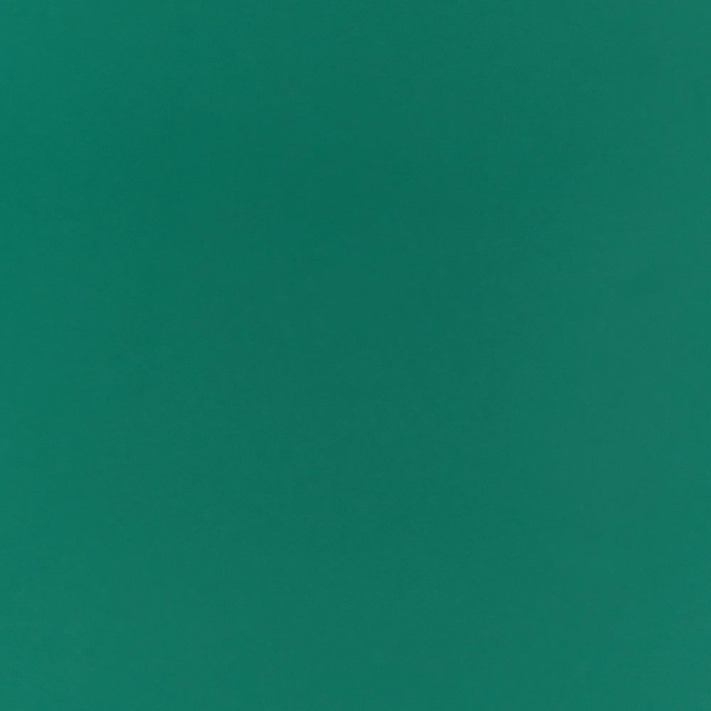 Moderno Armadietto in Acciaio con 2 Ante e 4 Ripiani color Verde