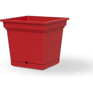 Teraplast elements still 38 scarlet