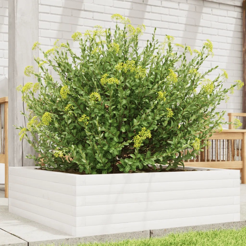Fioriera da Giardino-Vaso da Esterno Bianca 80x80x23 cm Legno Massello di Pino
