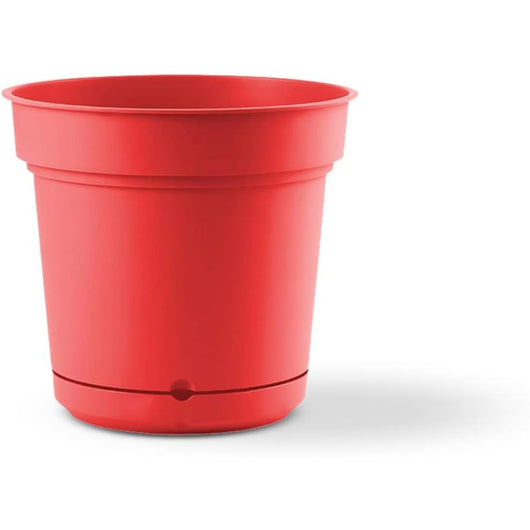 Teraplast elements hydral 38 scarlet