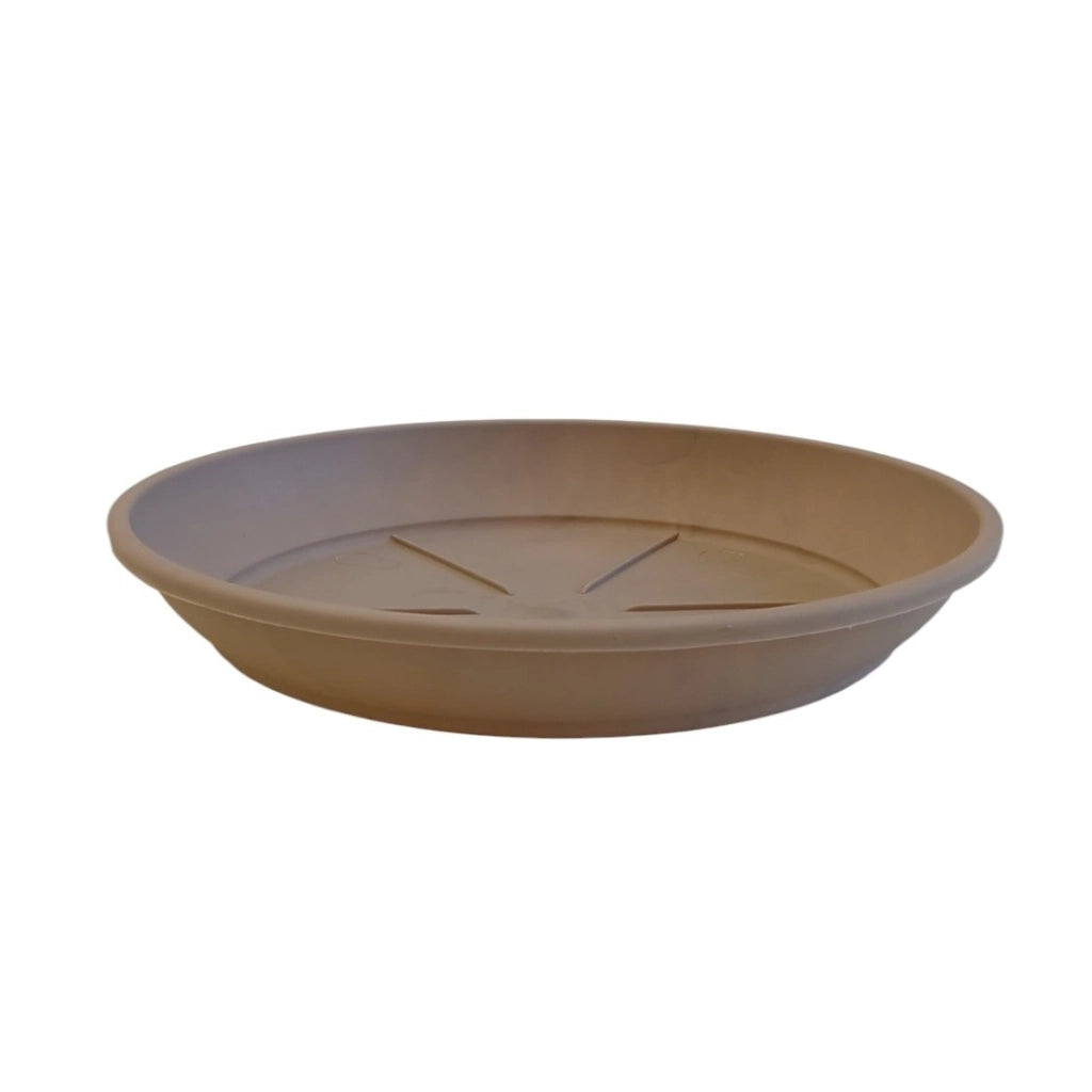 SOTTOVASO COLOR D.16XH2,5CM ASSORTITO