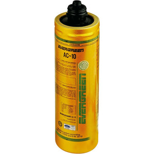 Cartuccia evergreen ac10 x filtro corpo paini 53ccfiltcgpp3pa