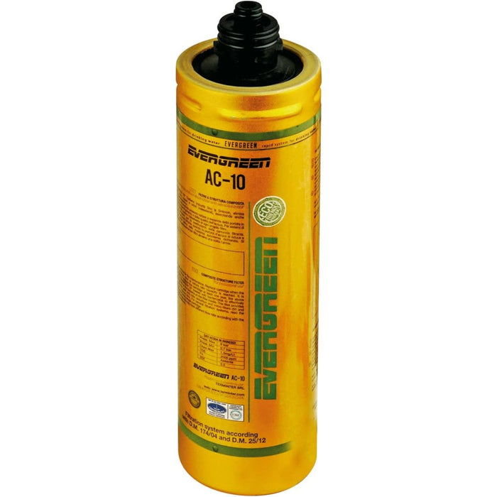 Cartuccia evergreen ac10 x filtro corpo paini 53ccfiltcgpp3pa