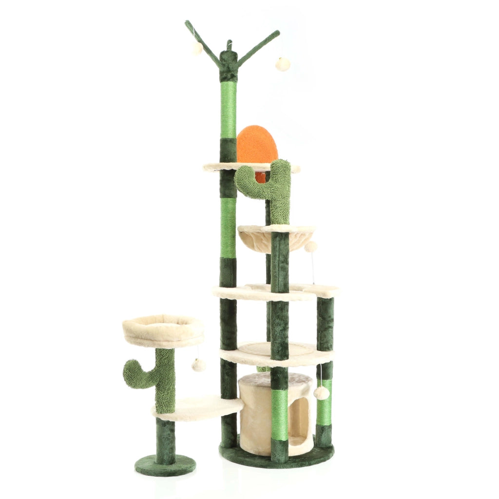 Fudajo Albero tiragraffi per gatti verde cactus 172 cm con casetta amaca e palline