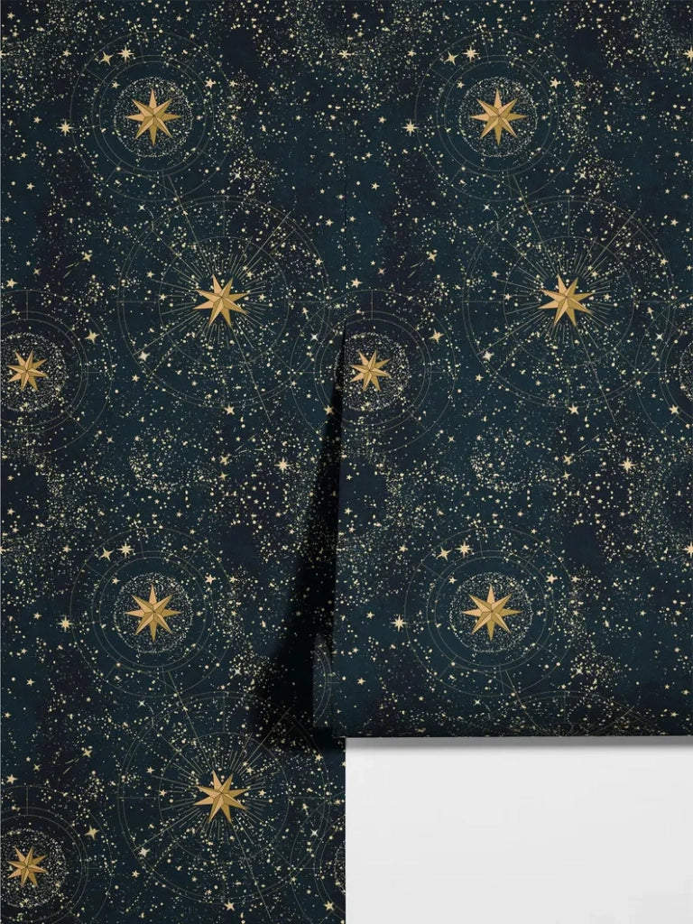Carta da parati blu cielo stellato 200x280cm 5 mq