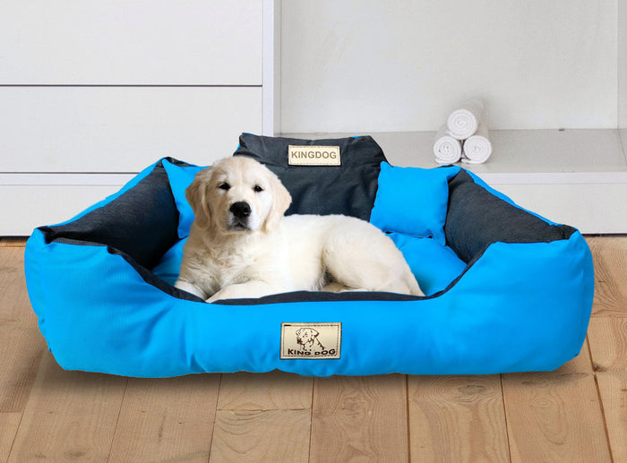 AIO FACTORY 55x45 cm KINGDOG Cuccia per cani impermeabile personalizzabile Blu