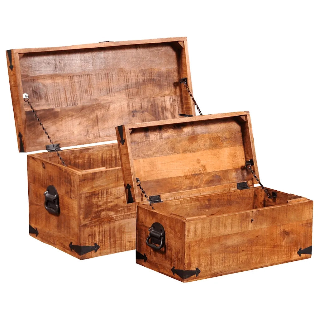 Casse di Stoccaggio 2 pz in Legno Ruvido di Mango CFW8294317