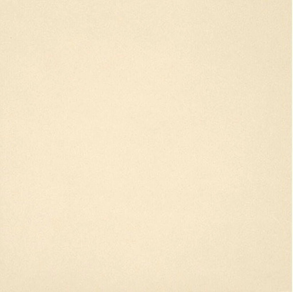 Gres Porcellanato Unicolore Bianco A11/12 Mm 20X20 11/1 0,88 Mq - Casalgrande