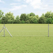Palo della recinzione Argento 50 x 0,6 m (maglia da 25 mm)