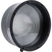 Amaran Fresnel for Ray