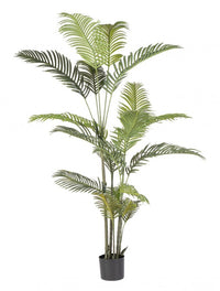 Set 2 Piante Artificiali di Kenzia Ø100x180 cm in Plastica con Vasi Verde