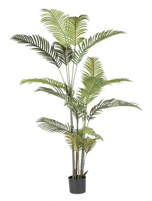 Set 2 Piante Artificiali di Kenzia Ø100x180 cm in Plastica con Vasi Verde