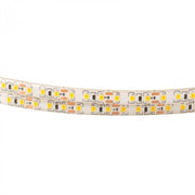 Striscia LED 5m 9,6W/m 3000K 600lm/m 12V IP63 dimmerabile