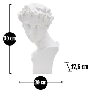 Scultura Roman Young 20x17,5x30 cm in Poliresina