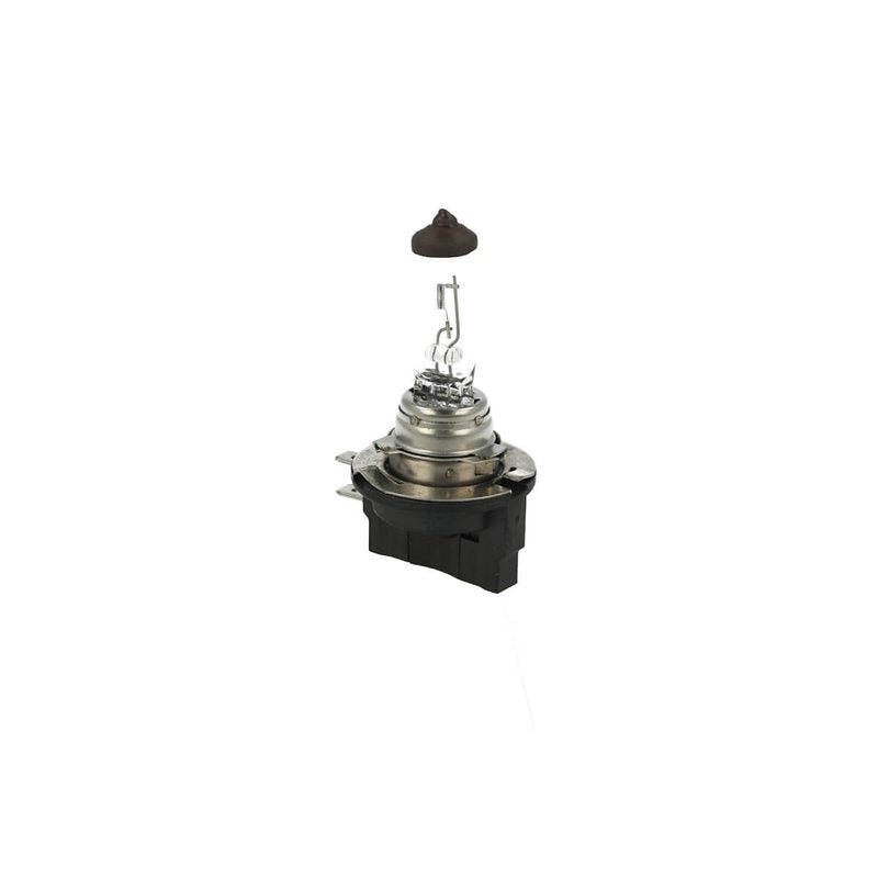 2 PZ Lampada Alogena H11B H9B 12V 55W PGJY19-2 Clear Compatibile Osram