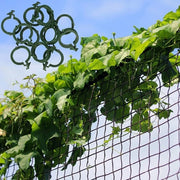 Clip per piante per pomodori, rose, zucchine e altre piante rampicanti, Rete per piante rampicanti 2x7,5 m.