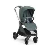 Passegg.bellagio 2 fir tree 87183.33