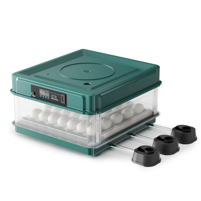Fudajo Incubatrice di superficie completamente automatica 48 uova Covatrice polli, anatre, pulcini