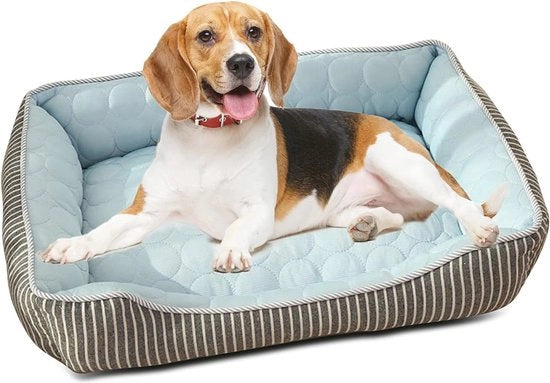 Letto per Cani Ortopedico per Piccoli e Medi Cani - Raffreddamento e Resistente al Lavaggio della Lavatrice