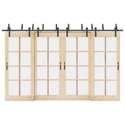 Kit di Binari per Porte Scorrevoli 366 cm Acciaio Nero