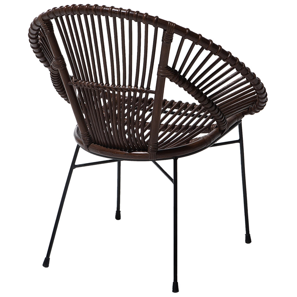 Poltrona in rattan Vimini marrone Gambe in metallo Nero Papasan Soggiorno Sala da pranzo