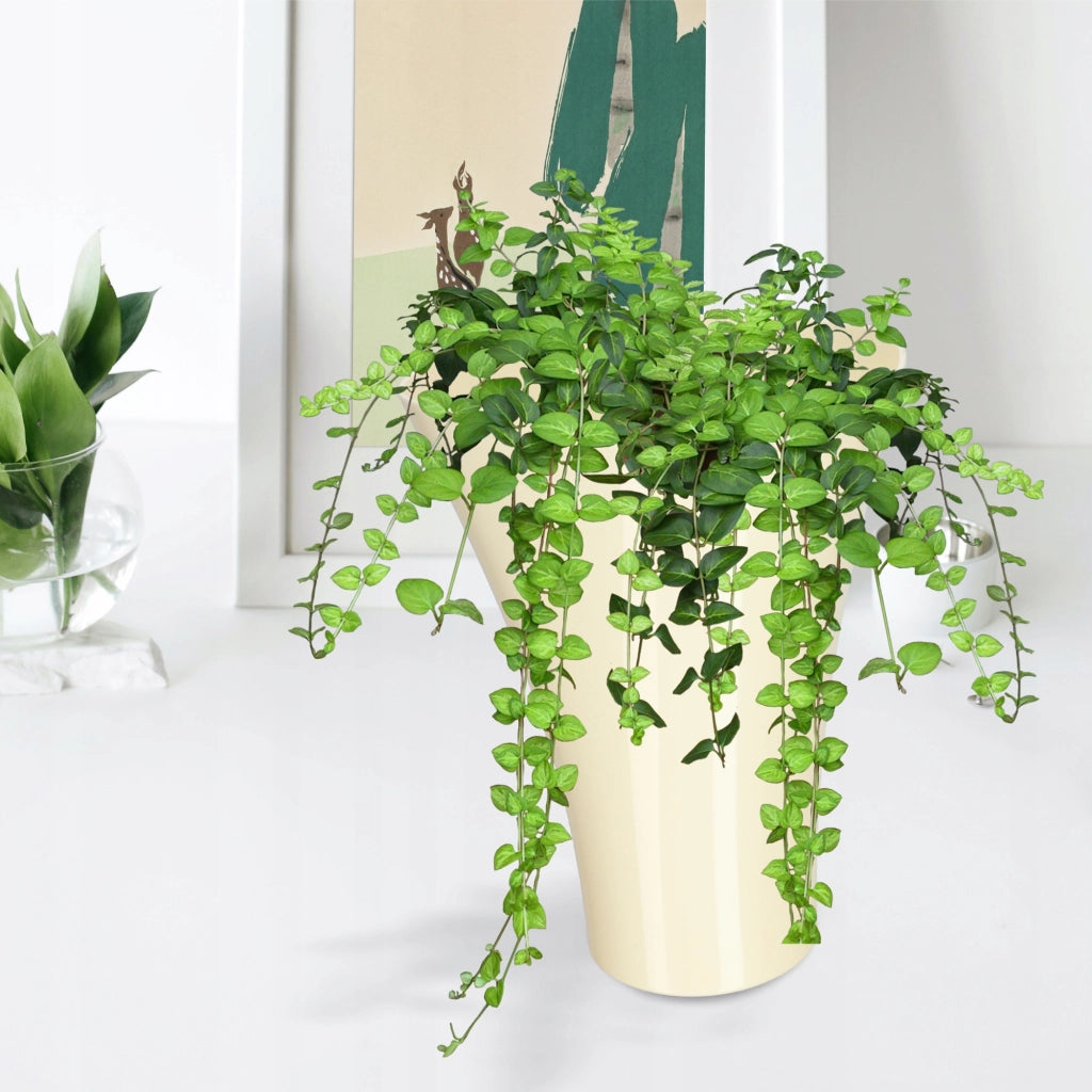 Copertura per vaso da fiori KADAX, supporto per piante in plastica color crema, 16,5 cm