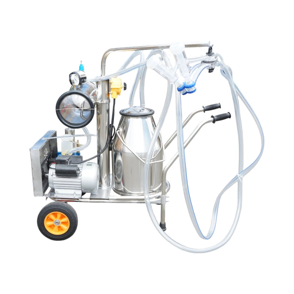 Dispositivo per mungitura di pecore, 1 postazione, 750W, 220V, bidone in acciaio inox da 25L, gruppo di mungitura con 2 manicotti, pressione del vuoto 40-50 kPa, pulsazioni 60-80 cpm