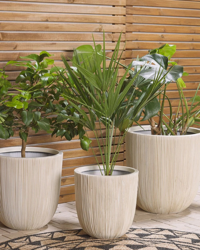 Vaso per fiori Fioriera alta in poliresina beige 33 x ø 31 cm Accessori per arredamento per interni e interni moderni e minimalisti