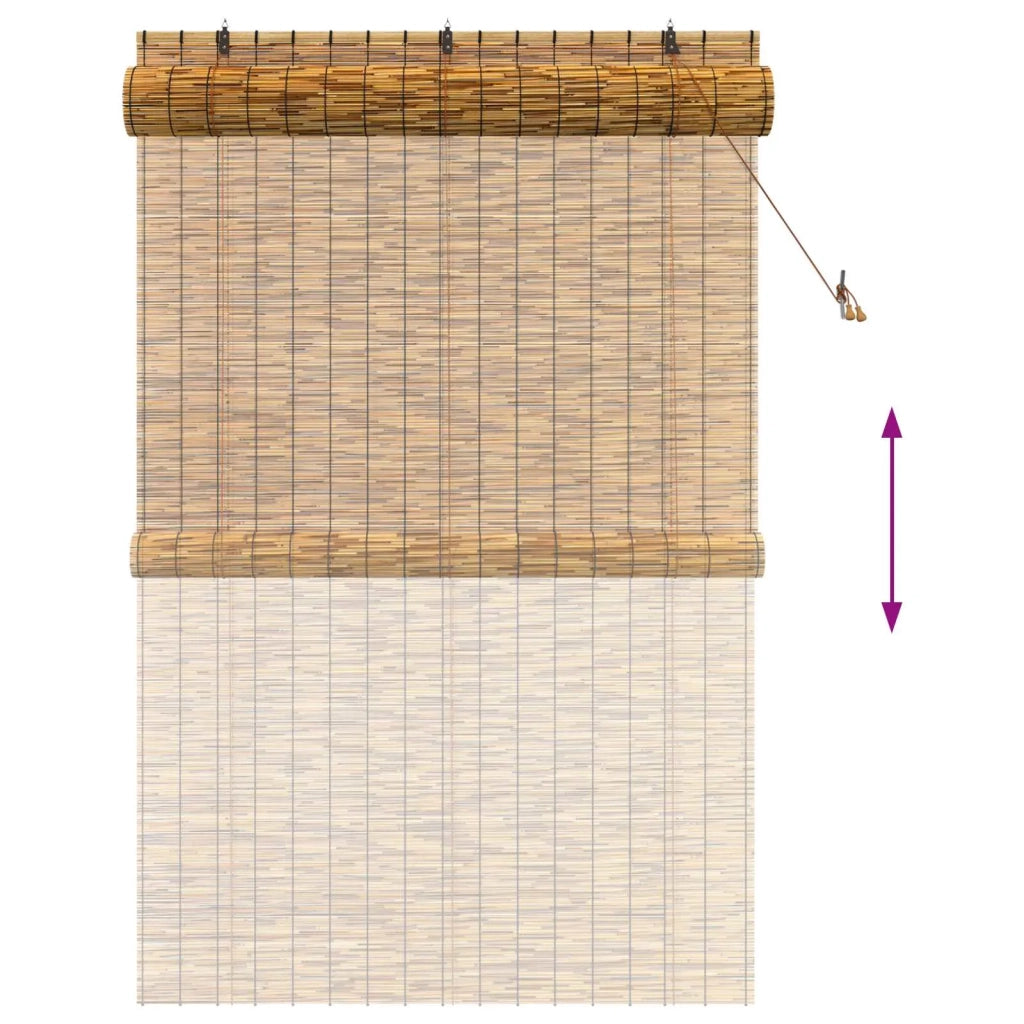 Tenda a rullo Marrone 140 x 220 cm Giunco 42034662