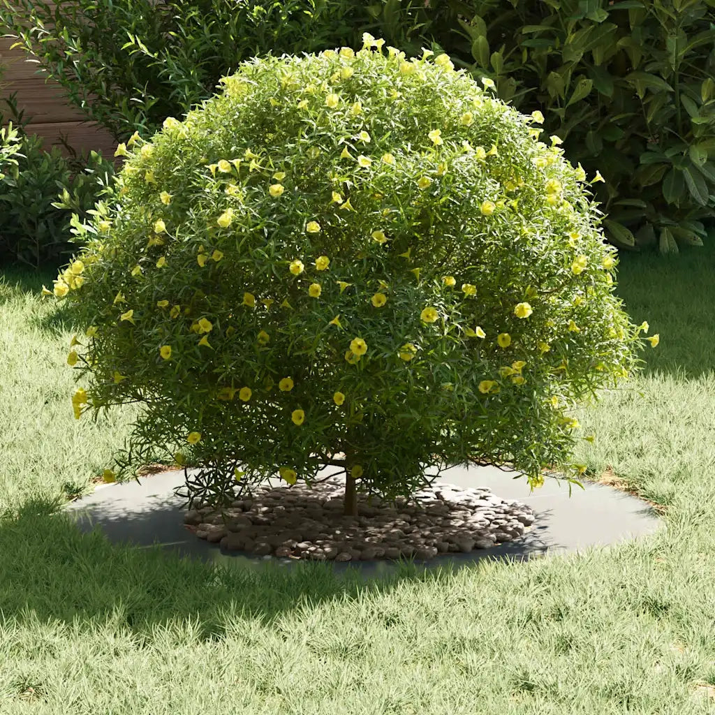 adatto per Anello d'Albero Piatto Argento ?40 / 70 cm CFW2746236