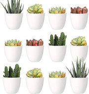 24 pezzi di mini vasi in plastica per piante per interni, vaso di giardino bianco da 5 cm con sistema di drenaggio - NON incluso il pianta (moderno)