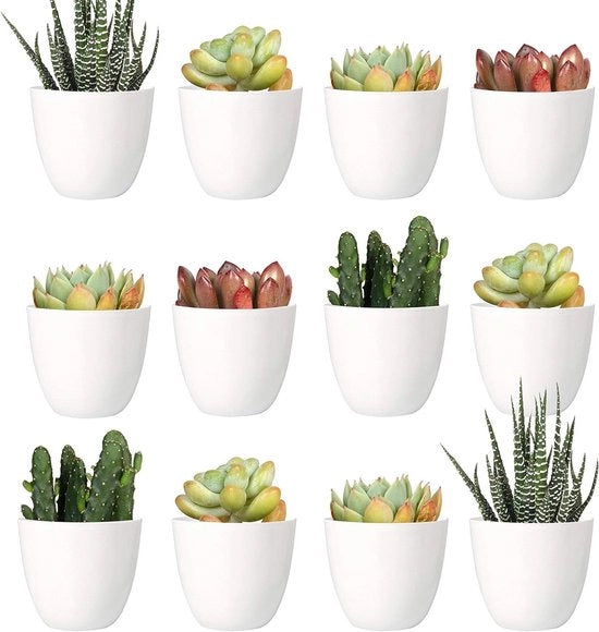 24 pezzi di mini vasi in plastica per piante per interni, vaso di giardino bianco da 5 cm con sistema di drenaggio - NON incluso il pianta (moderno)