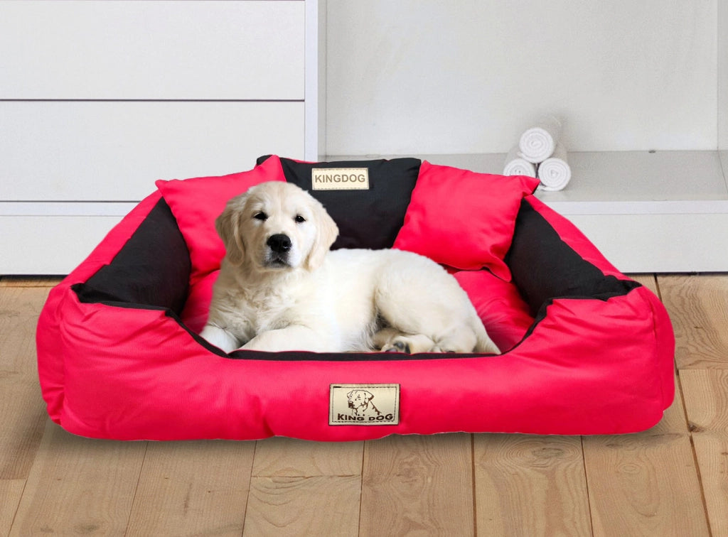 AIO FACTORY 115x95 cm KINGDOG Cuccia per cani impermeabile personalizzabile rossa