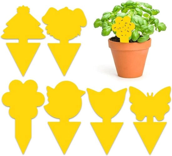 60 Adesivi per Cattura Insetti Volanti per Piante Zanzare Mosche e Mosche della Frutta per Balcone o Giardino.