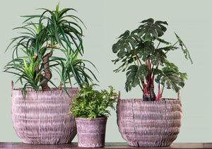 Set 2 Cesti in Materiale Rattan Willow con Manici H 30 cm