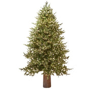 albero di natale "pino luxury" con led integrati, in pe effetto real touch / 240 cm  682222700 green