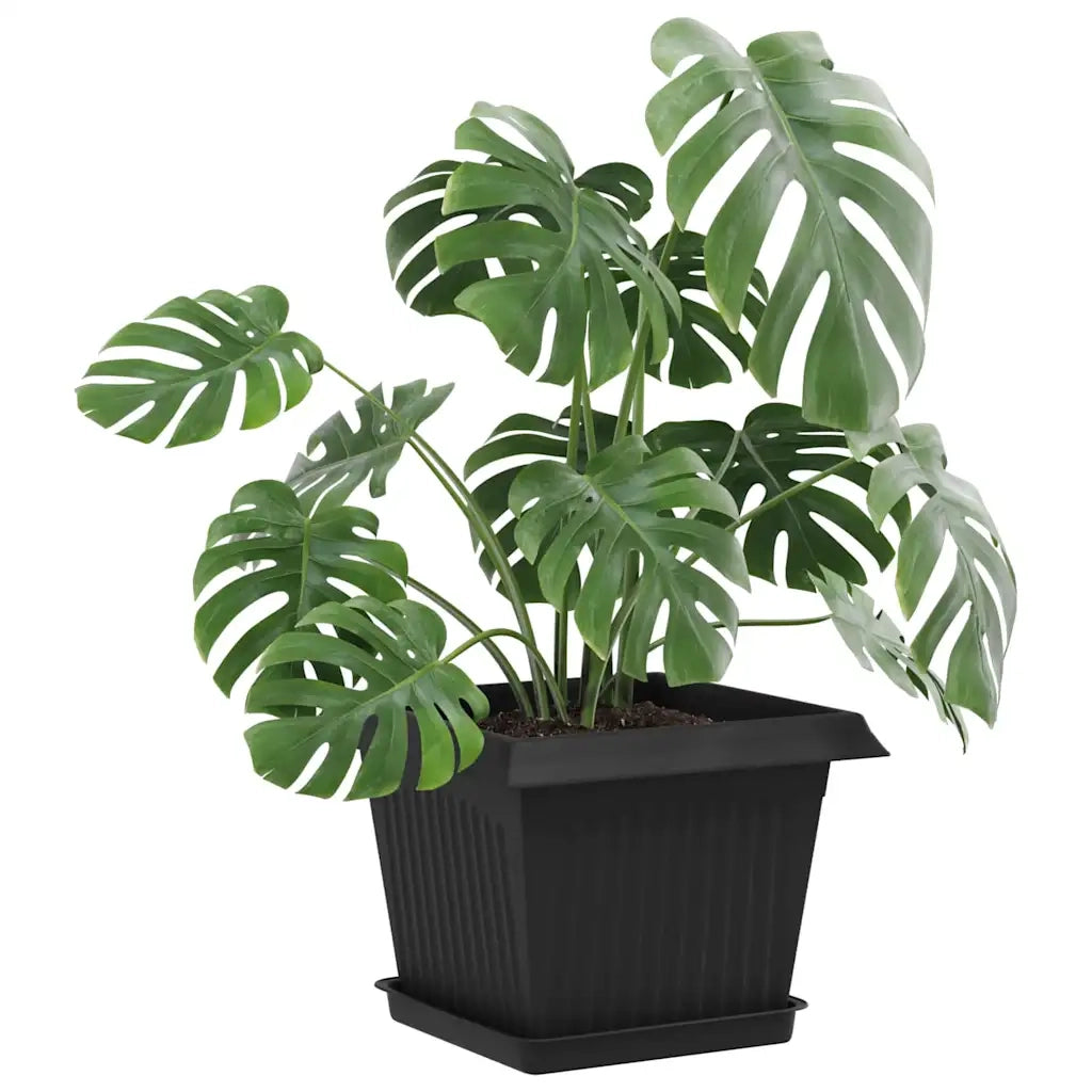 Fioriere | Cassetta per fiori | Vasi per Piante 24 pz Nero 23 x 23 x 17,5 cm Plastica