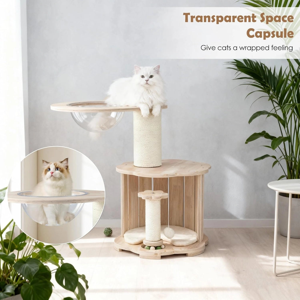 Albero tiragraffi 73 cm con tronco spesso 14 cm, capsula stanza, grotta, colonna tiragraffi, giocattolo e palla da appendere, albero per gatti e gatti