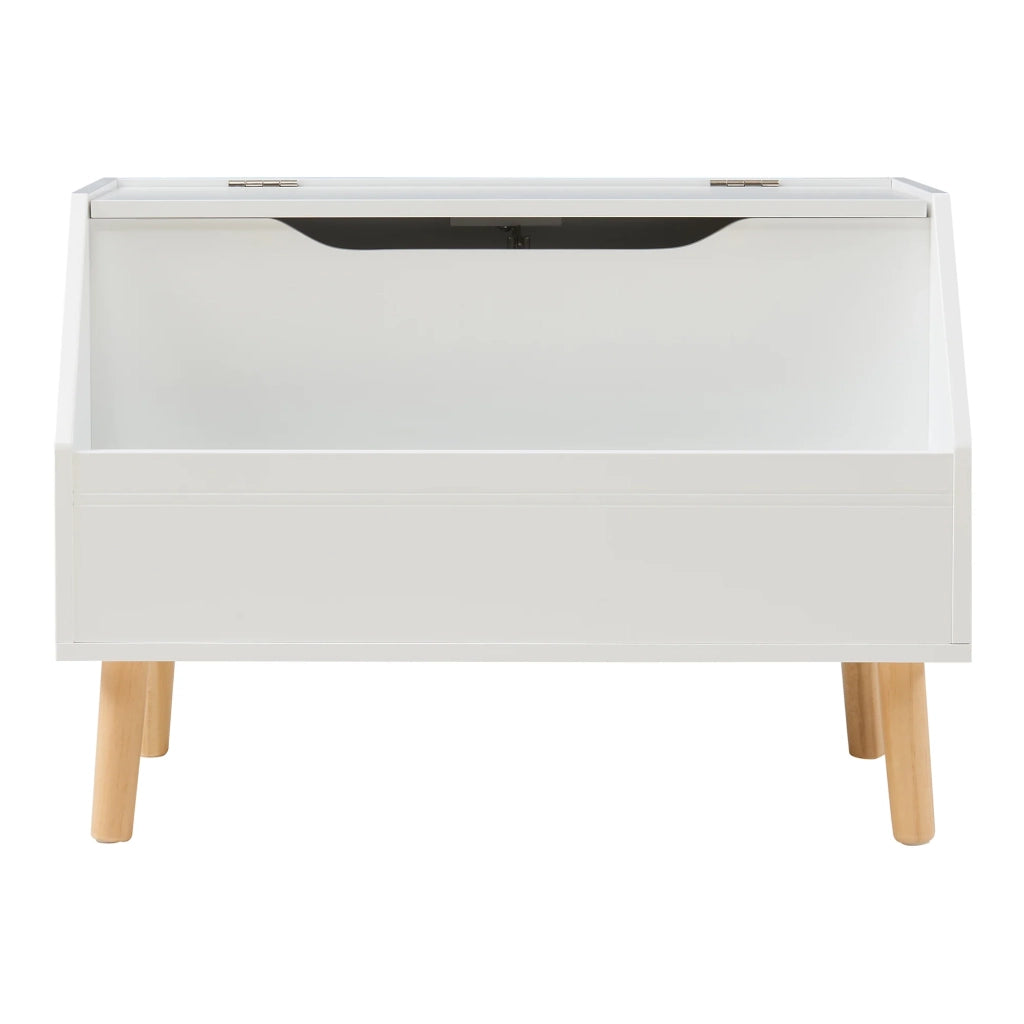 Baule portagiochi 60 x 30 x 43 cm bianco naturale 03_0009284