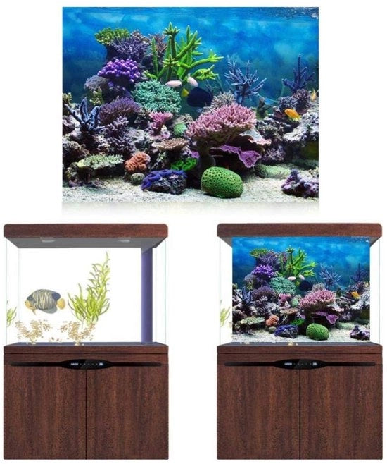 Poster per Acquario Decorativo Onderwater Zeekoraal - Achterwand - PVC - Autoadesivo - Decorativo - 76x30cm - Poster di Sfondo