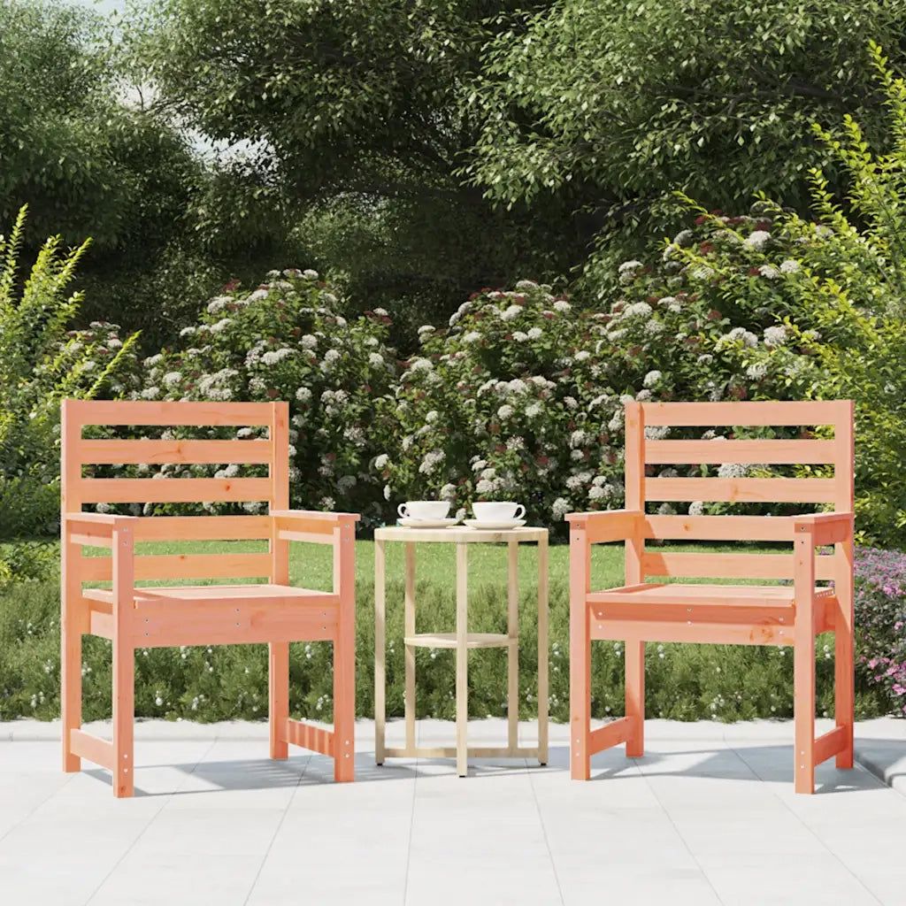 Sedie da Giardino 2 pz | Sedie da Esterno 60x48x91 cm Legno Massello di Douglas