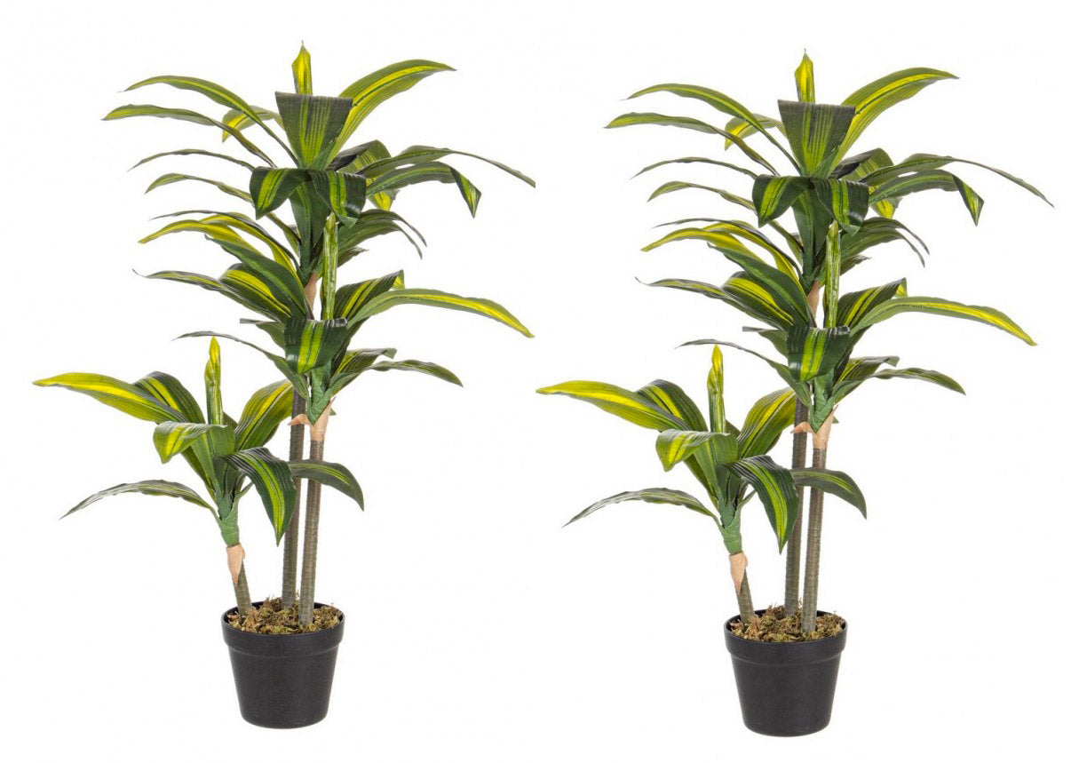 Set 2 Piante Artificiali Dracaena 88 h in Plastica con Vasi Verde
