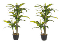 Set 2 Piante Artificiali Dracaena 88 h in Plastica con Vasi Verde