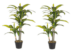 Set 2 Piante Artificiali Dracaena 88 h in Plastica con Vasi Verde