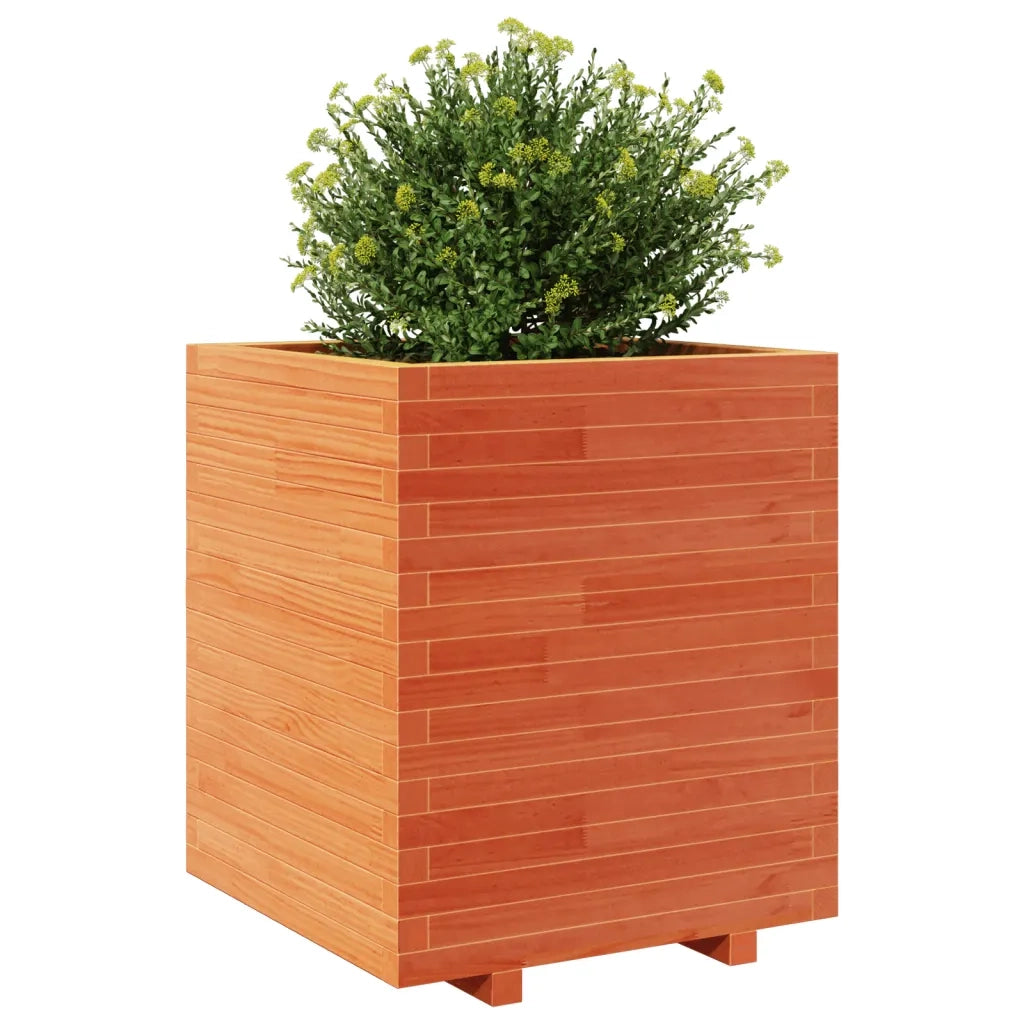 Fioriera Giardino Marrone Cera 60x60x72,5cm Legno Massello Pino 3282581