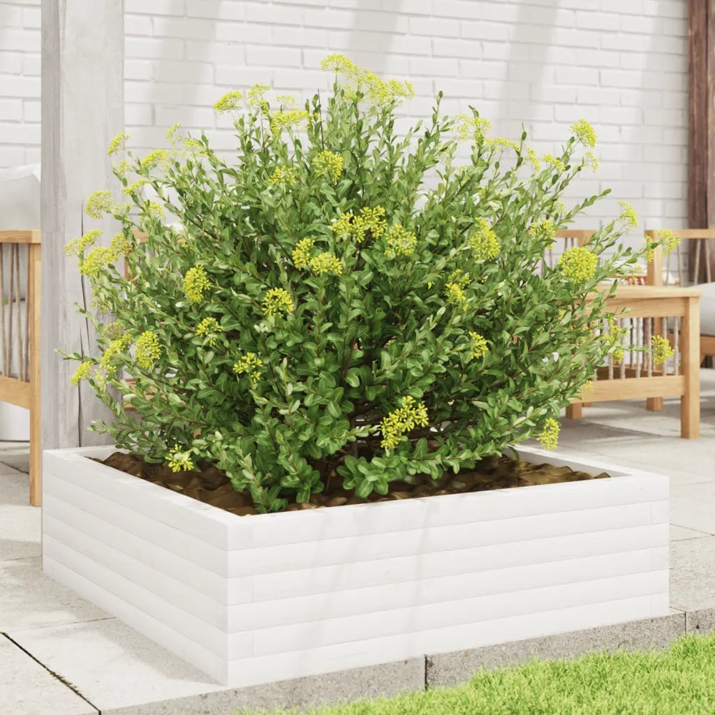 Fioriera da Giardino Bianca 80x80x23 cm Legno Massello di Pino
