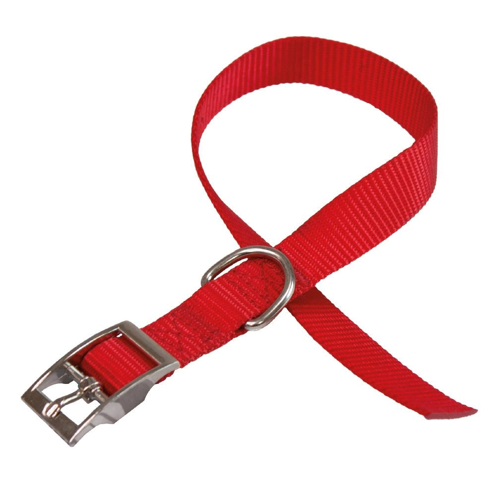 COLLARE PER CANI 'DAYTONA C' 25 mm x 45÷53 cm - colore rosso - FERPLAST