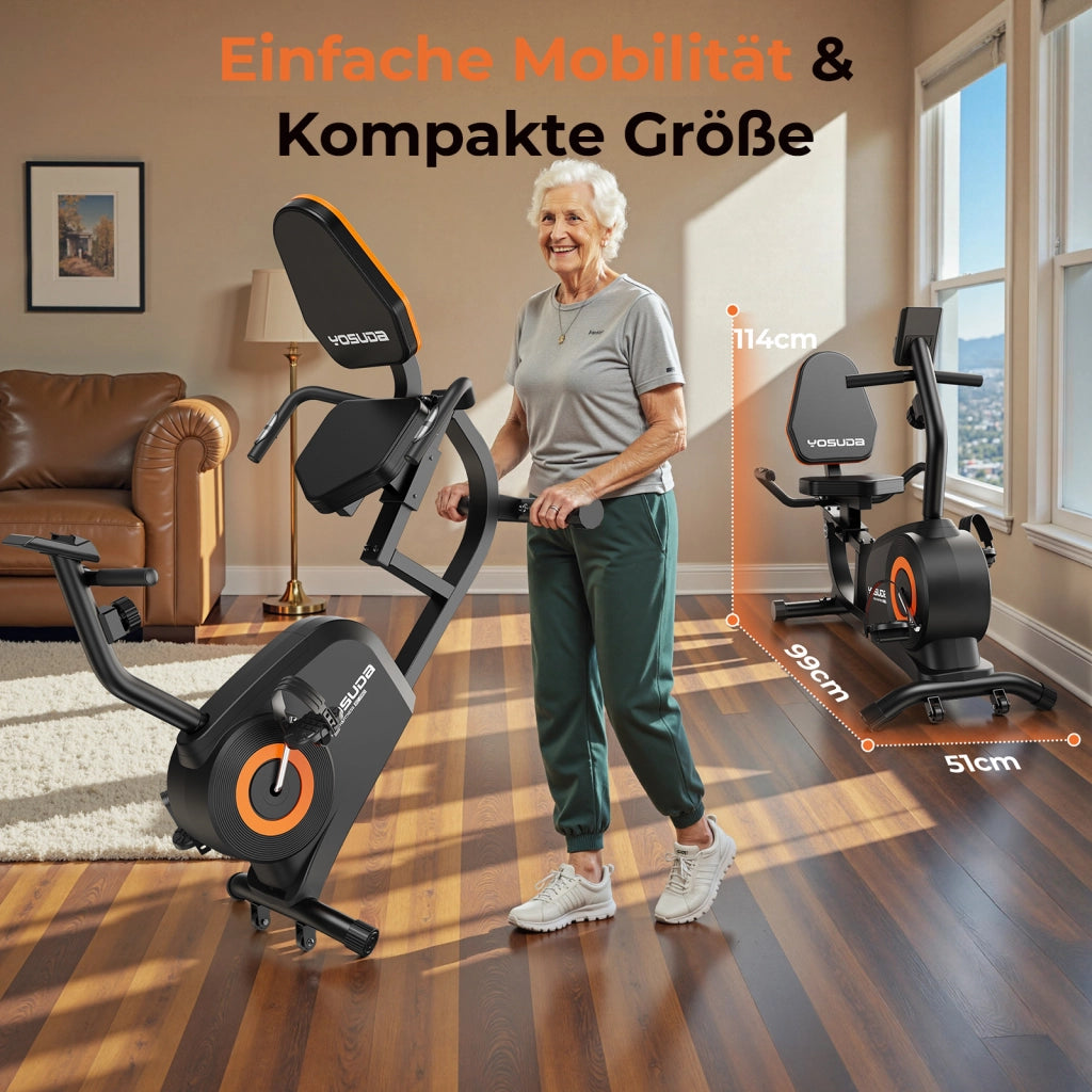 Cicloergometro YOSUDA ¨C zephmum ¨C 16 livelli, freno magnetico, 160kg, LCD