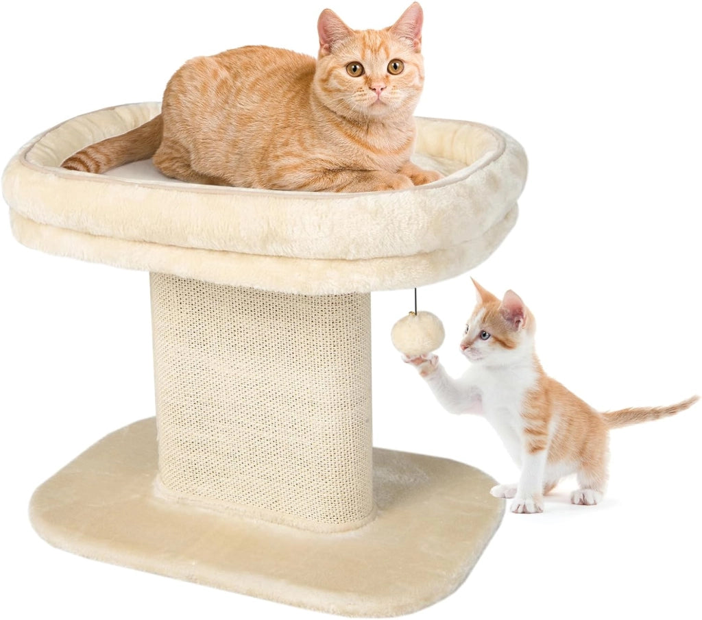 Tiragraffi piccolo, altezza 50 cm, tiragraffi per gatti con seduta in peluche e colonna in sisal e palla, albero da arrampicata in legno stabile, per gatti